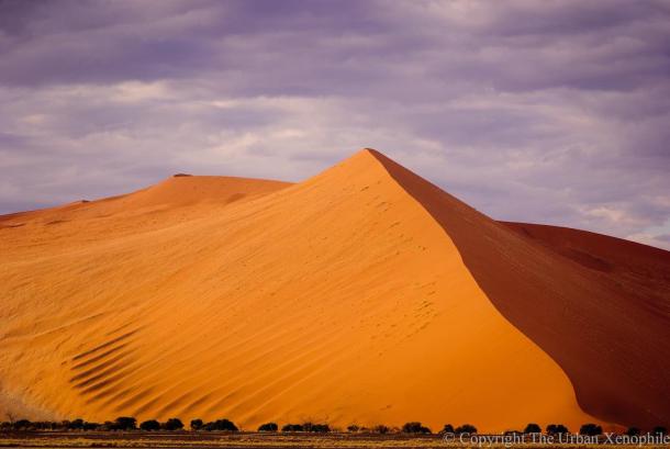 trip to namibia