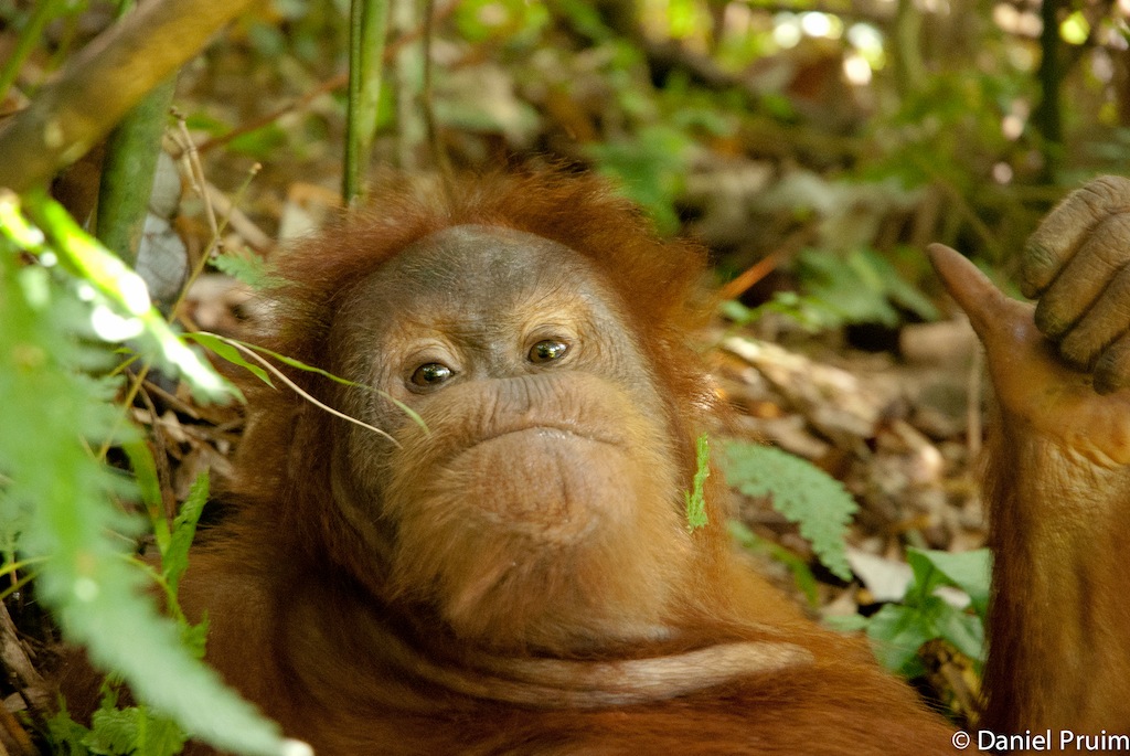 Indonesia-254