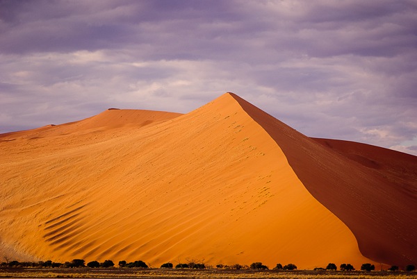 trip to namibia
